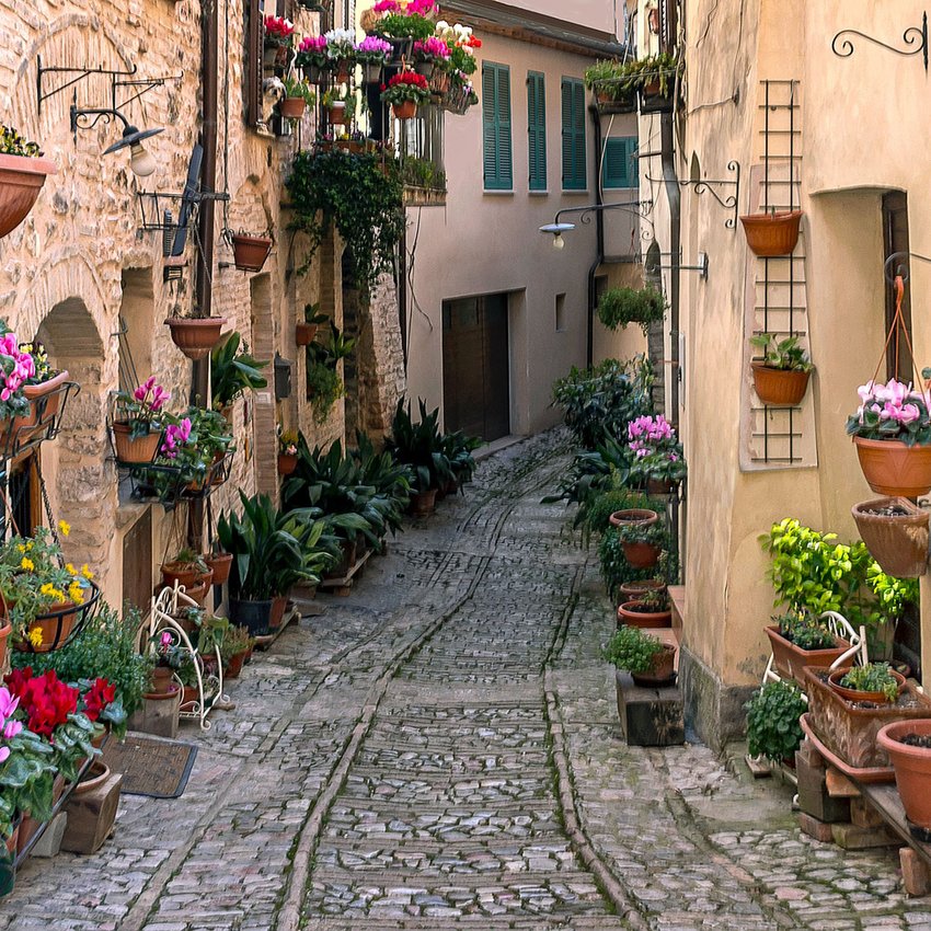 Quanto Dista Valle di Assisi Hotel Resort? Vicoli acciottolati con fiori colorati appesi e in vaso sulle pareti