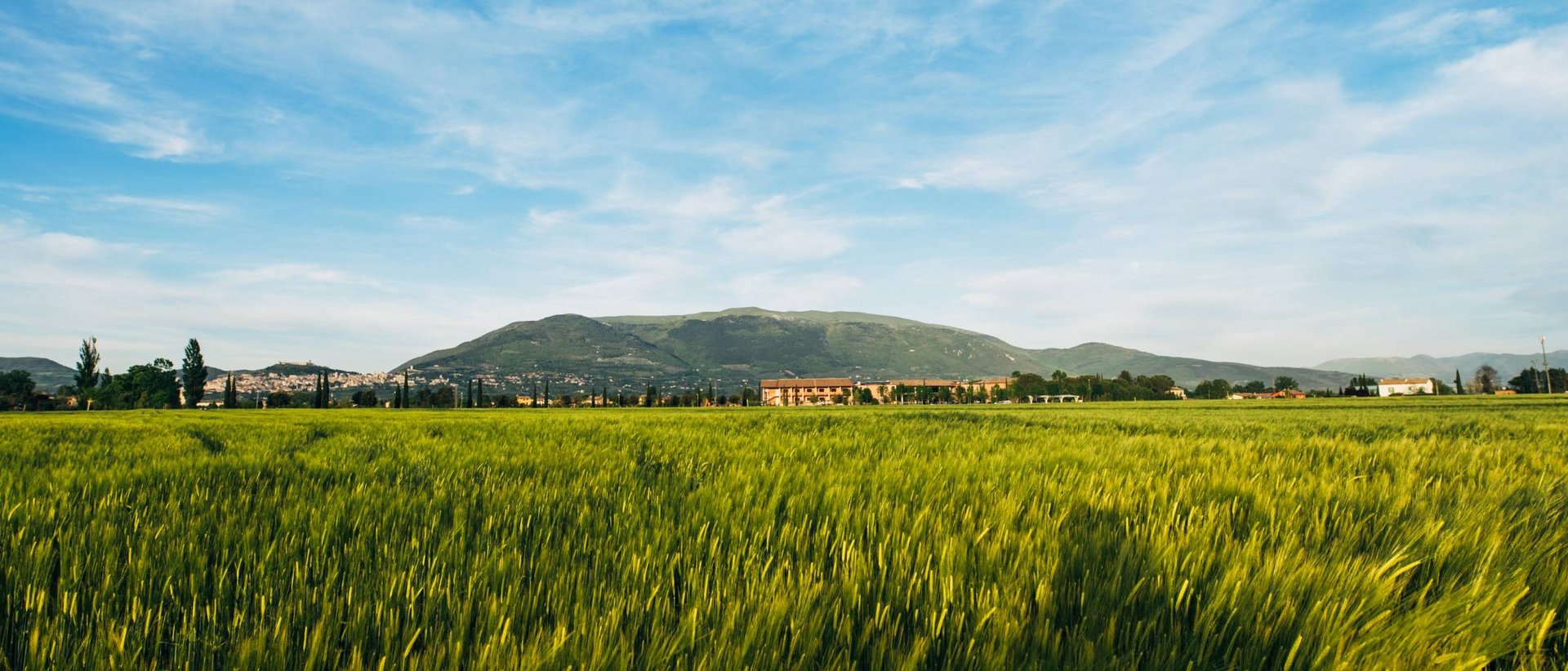 At Valle di Assisi, our restaurant, Recanto, awaits you. Green wheat field with hills in the background under a blue sky