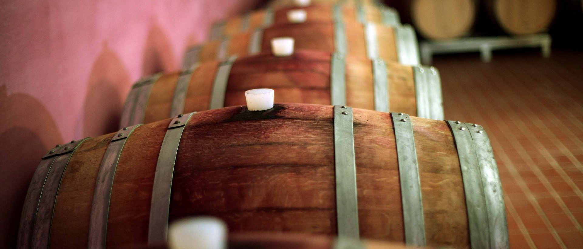 At Valle di Assisi, our restaurant, Recanto, awaits you. Wooden barrels aging wine in cellar