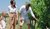 Weekend in Umbria con i bambini: tempo di vendemmia. Famiglia che esplora una vigna sotto il sole estivo