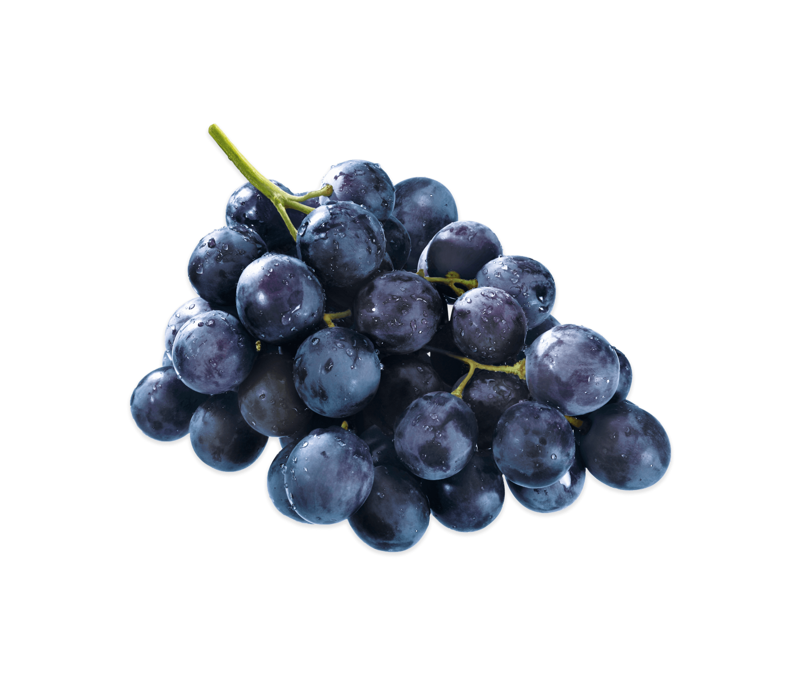 The mission of Valle di Assisi Cluster of black grapes with water droplets on black background